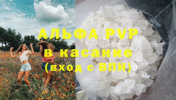 гашик Баксан