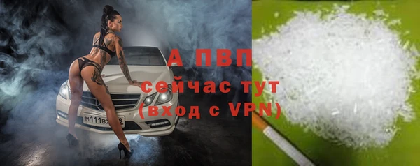 гашик Баксан