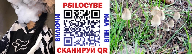 как найти закладки  это какой сайт  Псилоцибиновые грибы GOLDEN TEACHER  Верхнеуральск 
